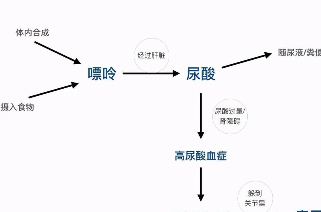 尿酸高有什么方法降,专业的一站式物流信息网_123随叫随到