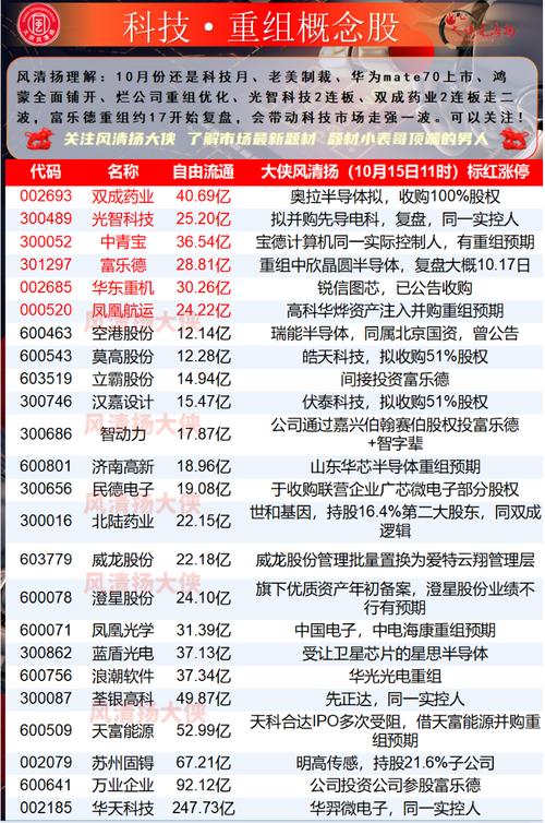 2024年11月19日 第21页