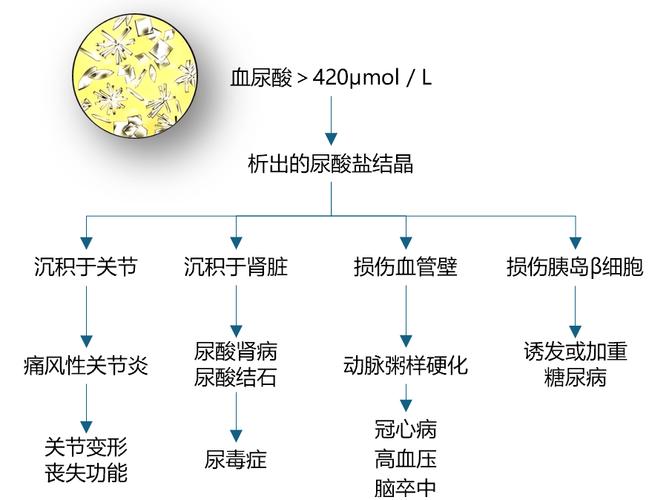 痛风降尿酸小窍门,快递单号查询_123随叫随到