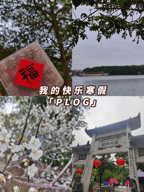 大学生放假回家现状,仓配一体,时效速达