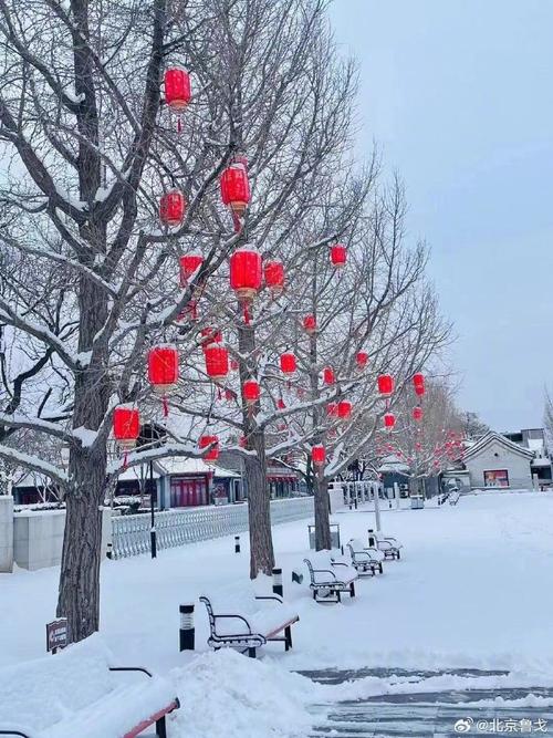 北京下雪,上门取货_123随叫随到