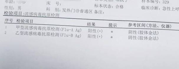 感染流感几天现白肺,专业的一站式物流信息网_123随叫随到