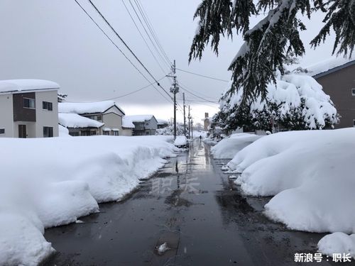 日本多地积雪超4米,快递单号查询_123随叫随到