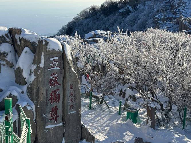 泰山多线路恢复开放,物流专线直达_123随叫随到