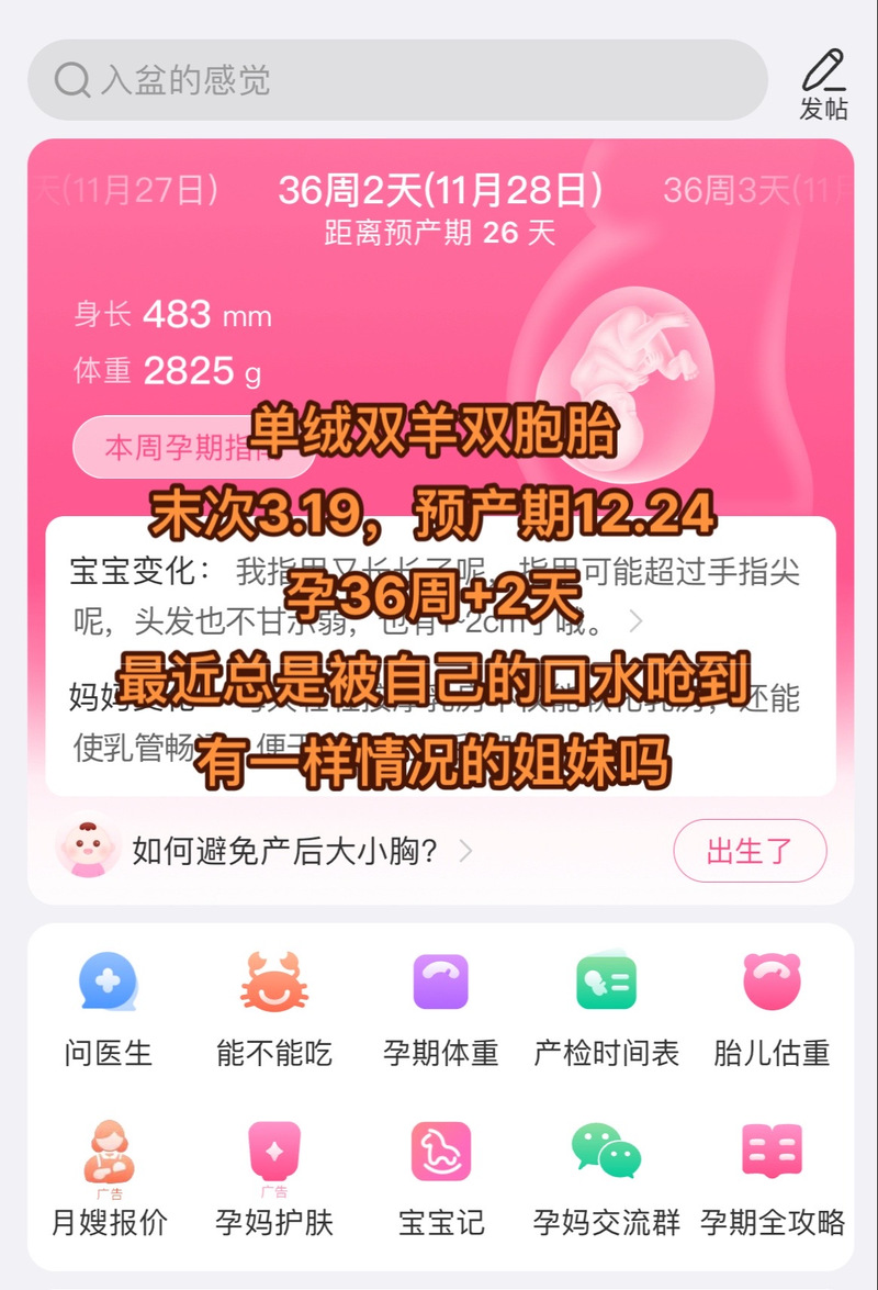 生完4个月再怀双胎,天天发车准时送达_123随叫随到